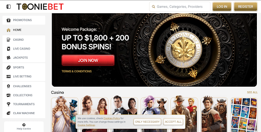 ToonieBet Casino